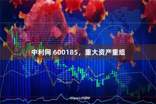 中利网 600185，重大资产重组